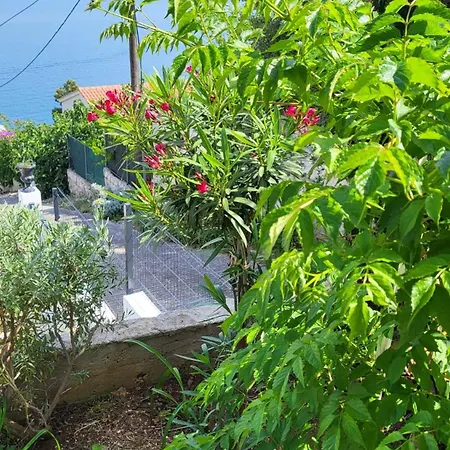 Krizanac Apartamento Donji Okrug (Ciovo)